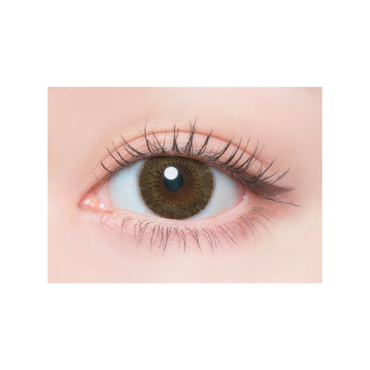 【預購】Flanmy Matcha Tart 1 Day 十片裝