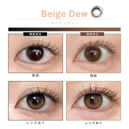 【預購】【固定高光】Dewlit Beige Dew 1 Day 十片裝