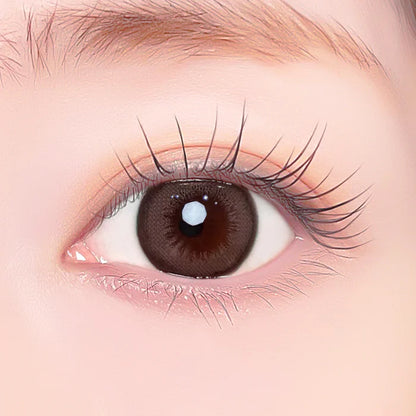 【預購】Refrear X A-eye Nova Greige 1 Day 十片裝