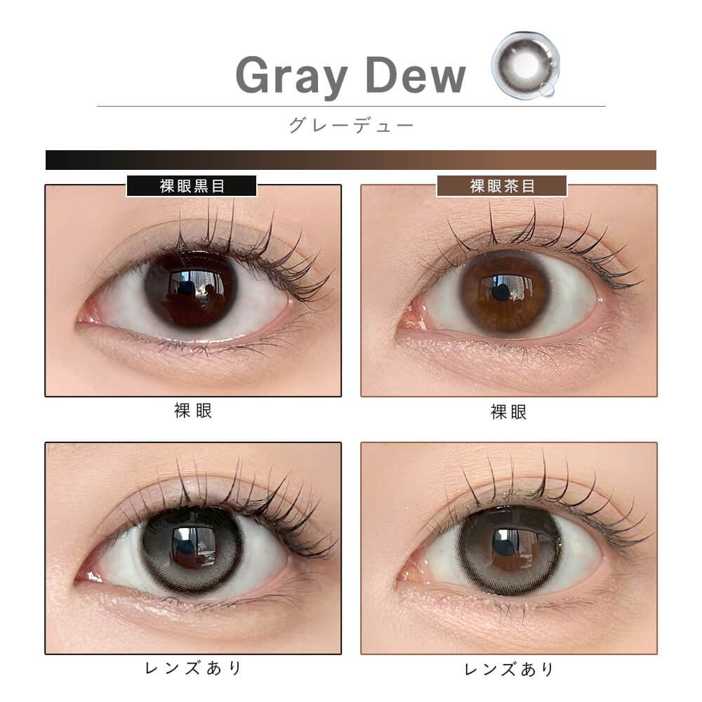 【預購】【固定高光】Dewlit Gray Dew 1 Day 十片裝