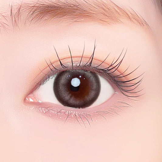 【預購】Refrear X A-eye Magnetic Gray 1 Day 十片裝