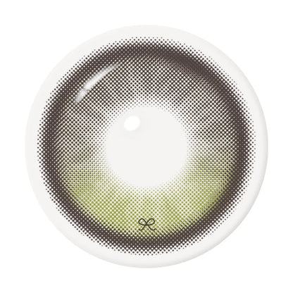 【預購】【固定高光】I-SHA Reborn Olive 1 Day 十片裝