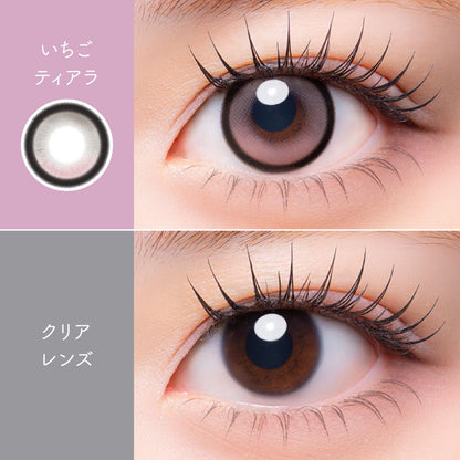 【預購】【固定高光】Meloria Ichigo Tiara 1 Day 十片裝