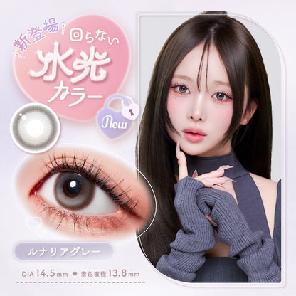 【預購】【固定高光】Malun Malun Lunaria Gray 1 Day 十片裝