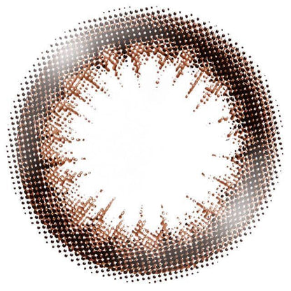【預購】Eye Closet Gauss Chocolat 1 Day 十片裝