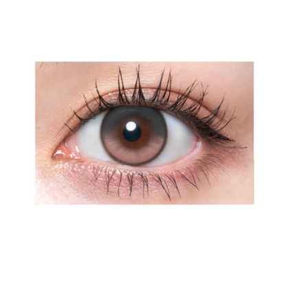 【預購】【固定高光】Quprie Rose Camellia 1 Day 十片裝