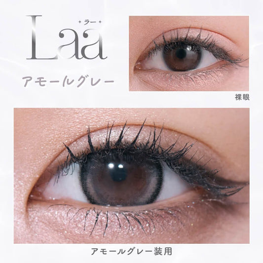 【預購】Refrear Laa Silicone Hydrogel Amor Gray 1 Day 十片裝