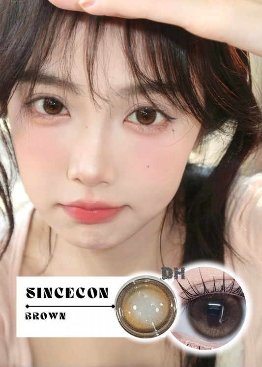 Sincecon Brown 日光沐雲 1 Day 十片裝