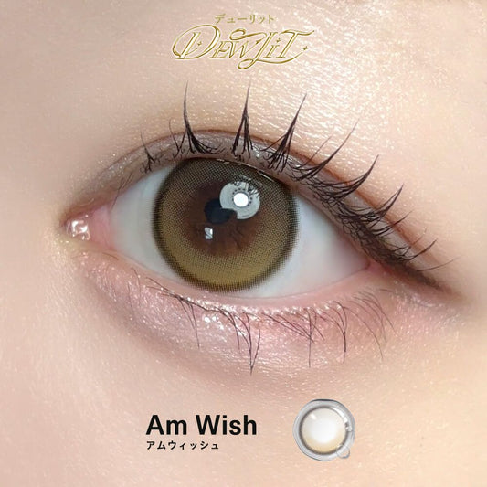 【預購】【固定高光】Dewlit Mini Am Wish 1 Day 十片裝