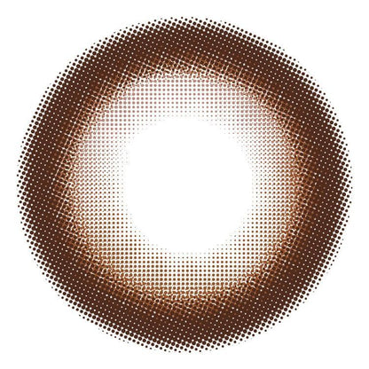 【預購】Primore Pri Date Brown 1 Day 十片裝
