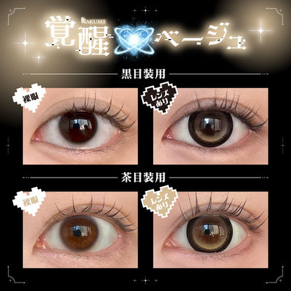 【預購】【固定高光】DUSTITY 覚醒ベージュ 1 Day 十片裝
