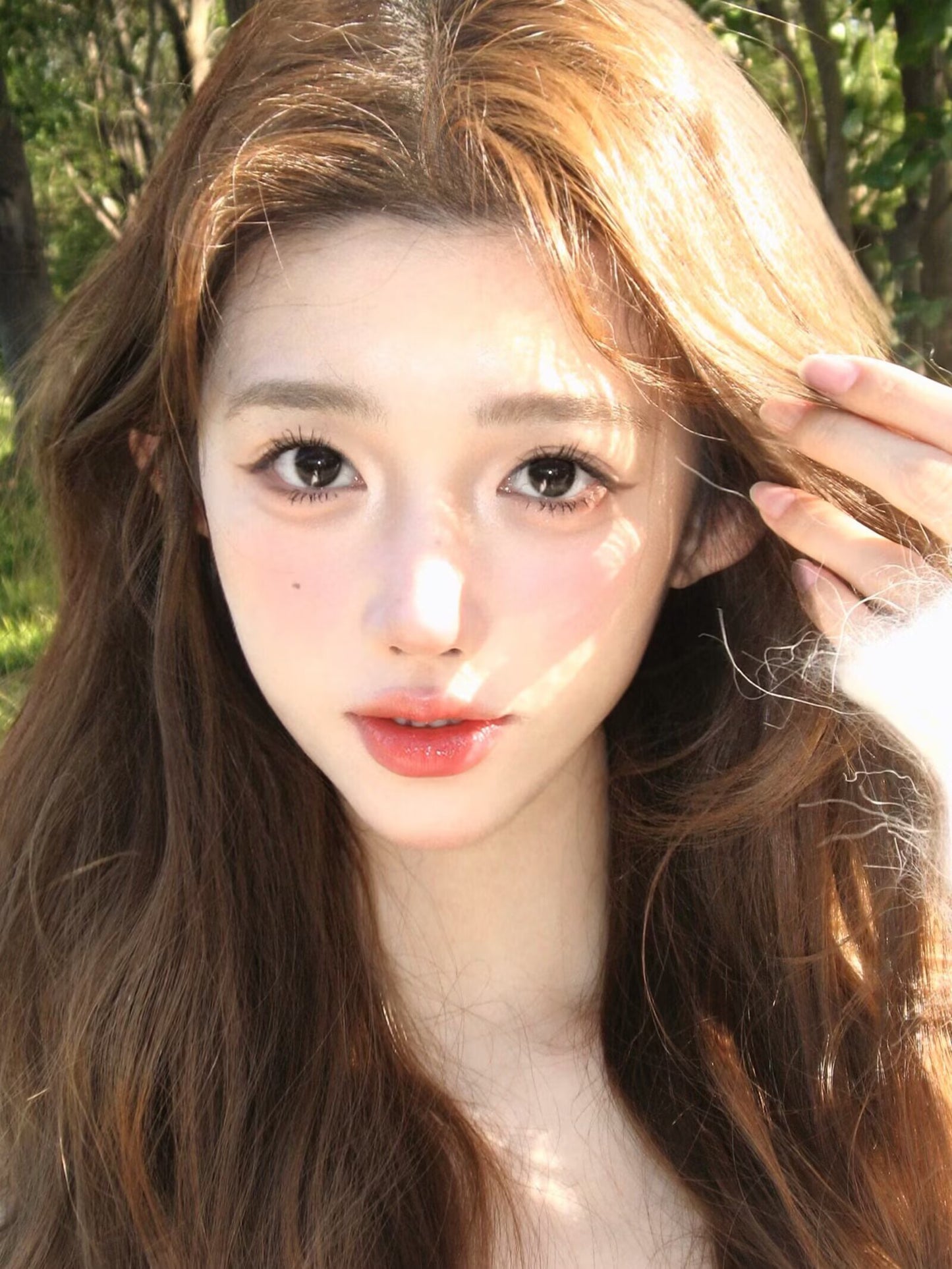 Ginomii 黑貓眼淚 6-Months 一片裝