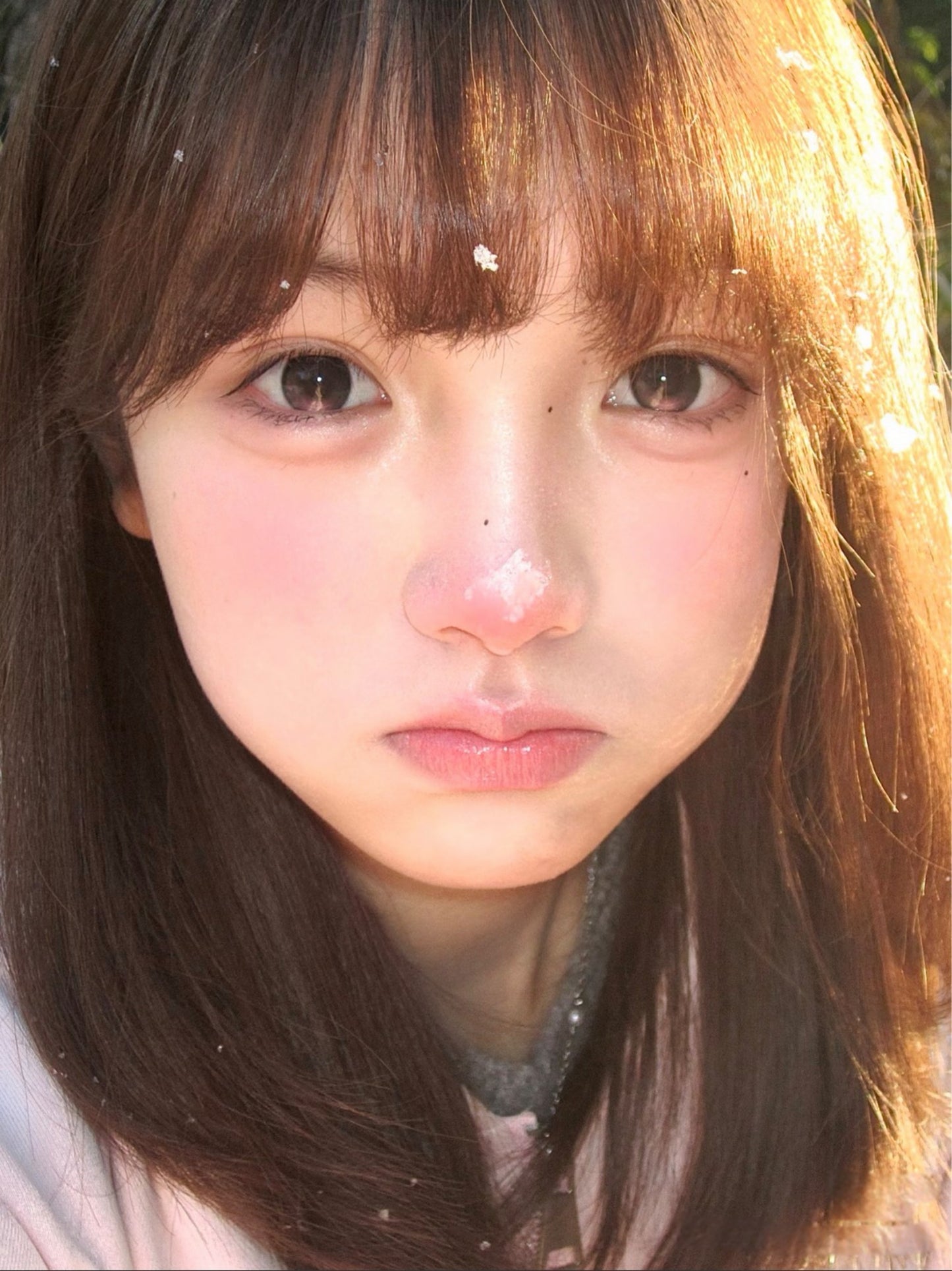 【固定高光】 Mixmixx Princess Pink 腹黑千金 1 Day 十片裝