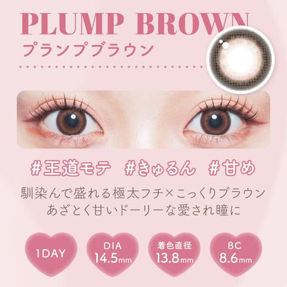 【預購】Malun Malun Plump Brown 1 Day 十片裝