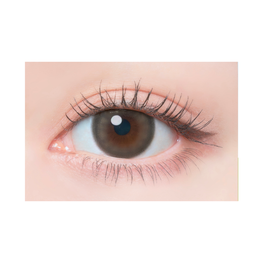 【預購】Flanmy Earl Grey Parfait 1 Day 十片裝