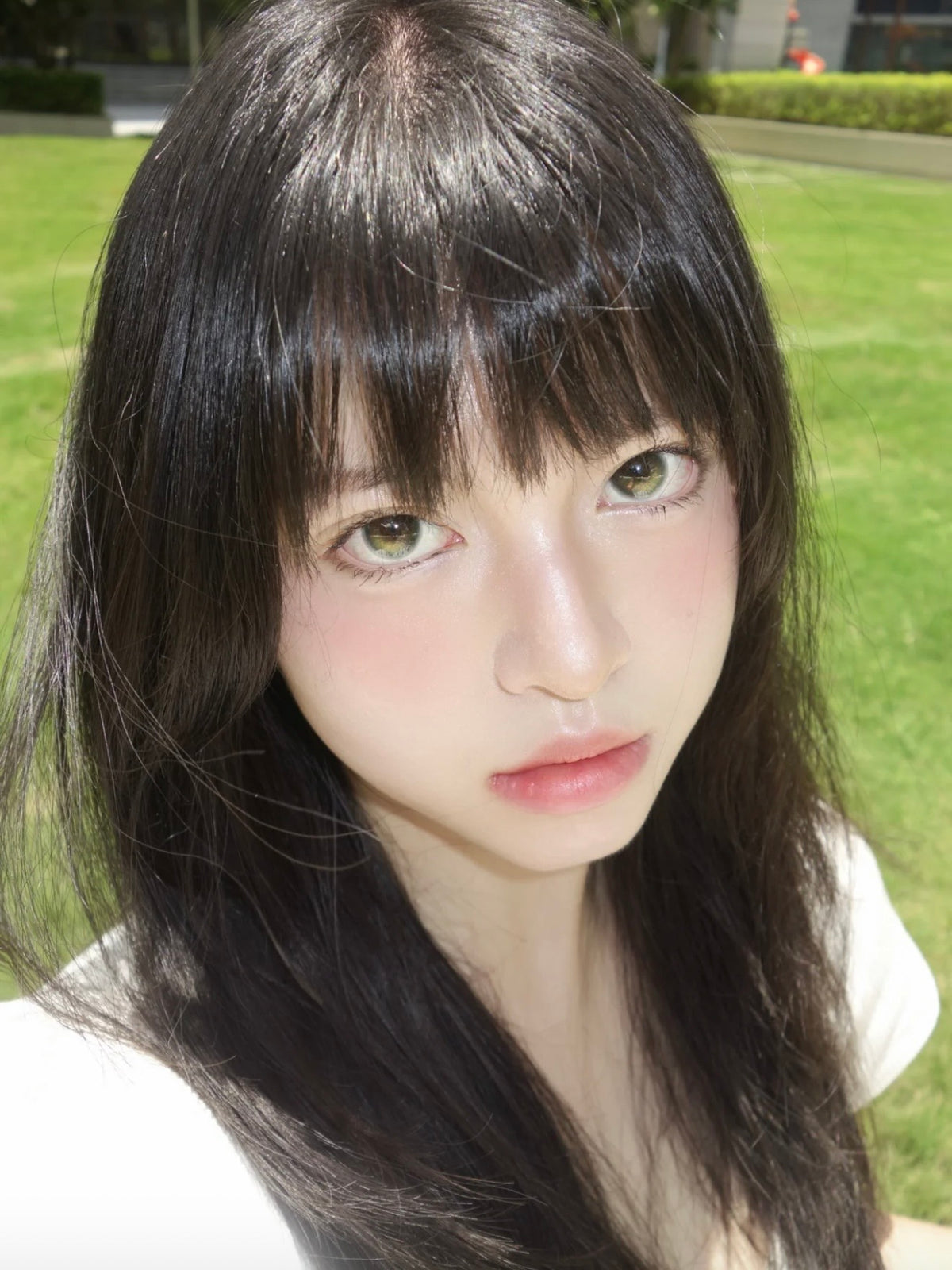 【滿著色】【固定高光】Chonos 綠野仙蹤 1 Day 十片裝