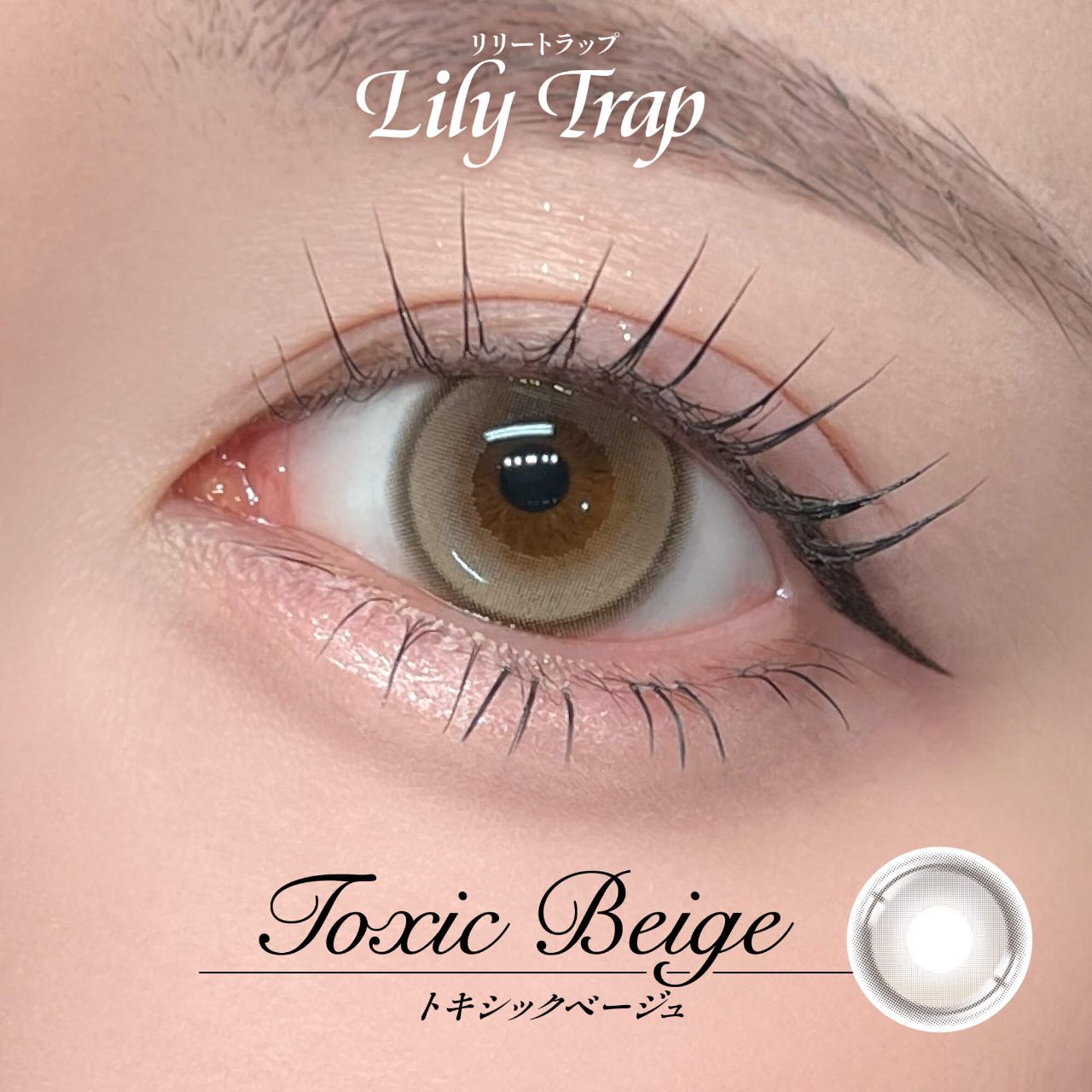 【預購】【固定高光】Lily Trap Toxic Beige 1 Day 十片裝