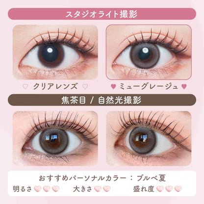 【預購】Malun Malun Mew Grege 1 Day 十片裝