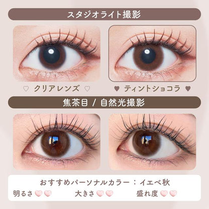 【預購】Malun Malun Tint Chocolat 1 Day 十片裝