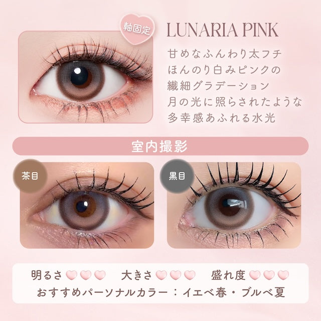 【預購】【固定高光】Malun Malun Lunaria Pink 1 Day 十片裝