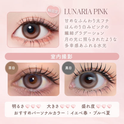 【預購】【固定高光】Malun Malun Lunaria Pink 1 Day 十片裝
