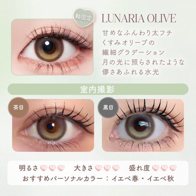 【預購】【固定高光】Malun Malun Lunaria Olive 1 Day 十片裝