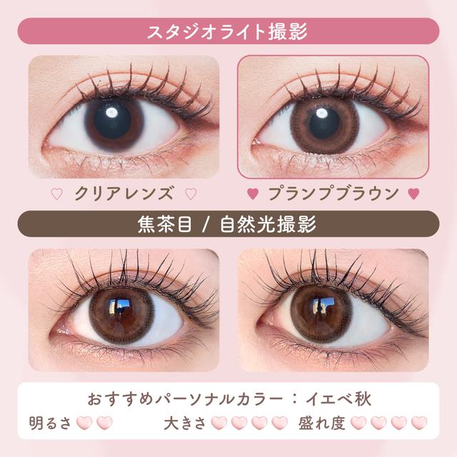 【預購】Malun Malun Plump Brown 1 Day 十片裝