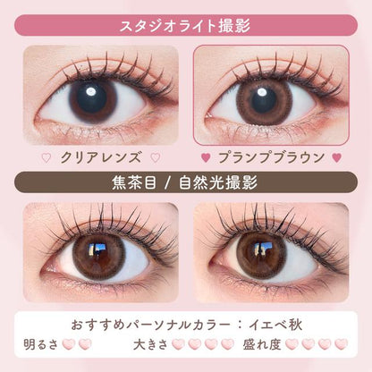 【預購】Malun Malun Plump Brown 1 Day 十片裝