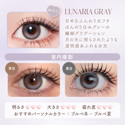 【預購】【固定高光】Malun Malun Lunaria Gray 1 Day 十片裝