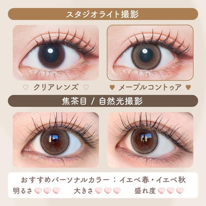 【預購】Malun Malun Maple Contour 1 Day 十片裝