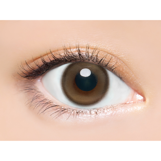 【預購】【固定高光】Angelcolor BAMBI SERIES Snow Cocoa 1 Day 十片裝