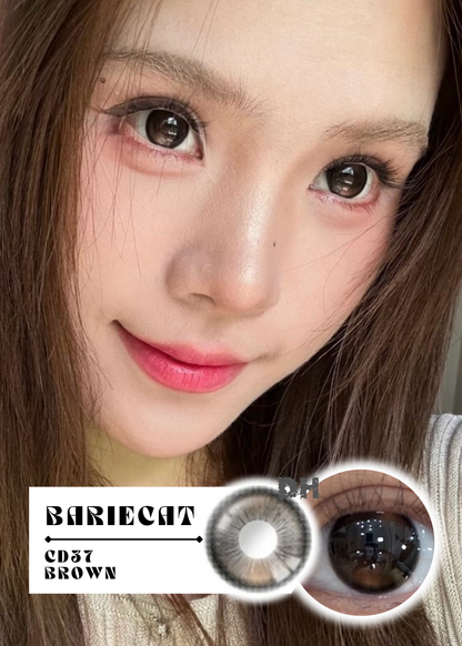 Bariecat CD37 Brown 和光甜橙 1 Day 十片裝