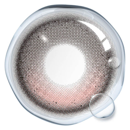 【即將發售】【固定高光】Dewlit Plus Toasty Roa 1 Day 十片裝