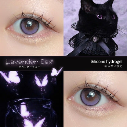 【預購】【固定高光】Dewlit Lavender Dew 1 Day 十片裝