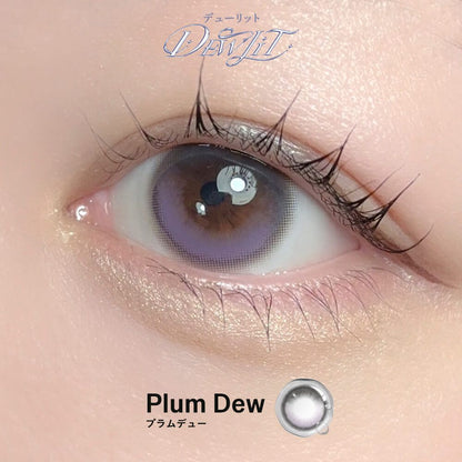 【預購】【固定高光】Dewlit Plum Dew 1 Day 十片裝