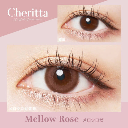 【預購】Cheritta Mellow Rose 1 Day 十片裝