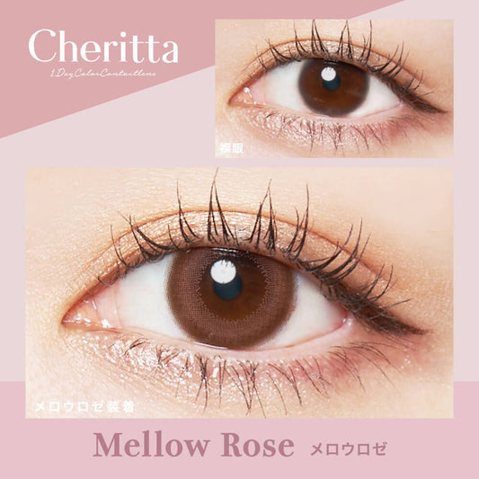 【預購】Cheritta Mellow Rose 1 Day 十片裝