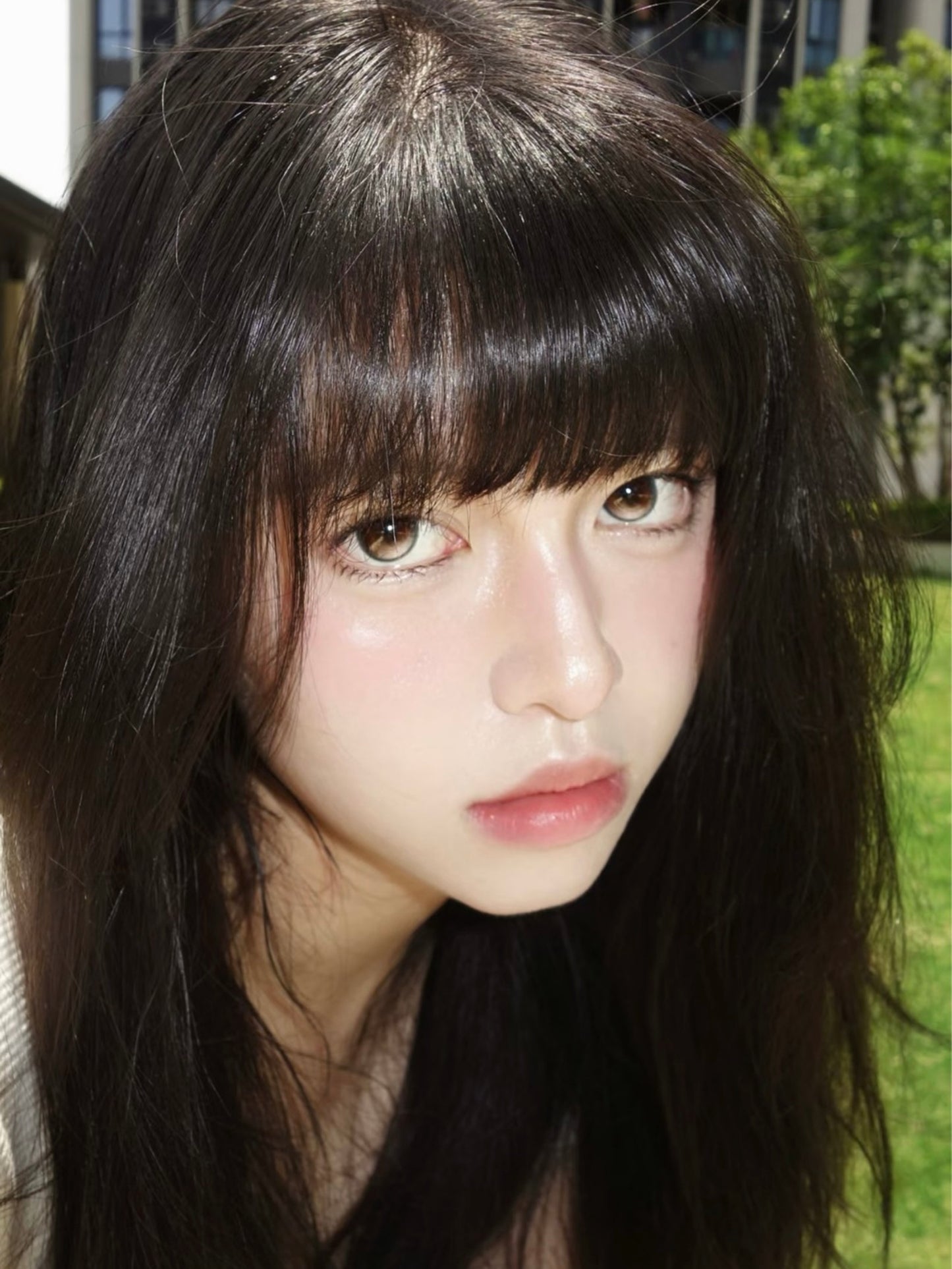 【固定高光】Kirafairy Theater Hazel 鎂光燈 1 Day 十片裝