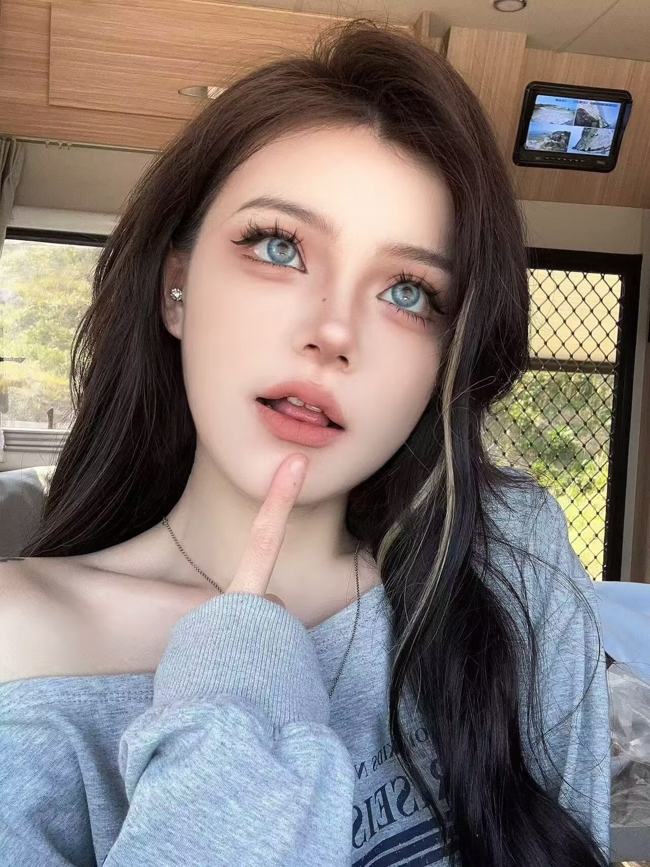 Cococon AI Blue 帝藍閃蝶 1 Year 一片裝