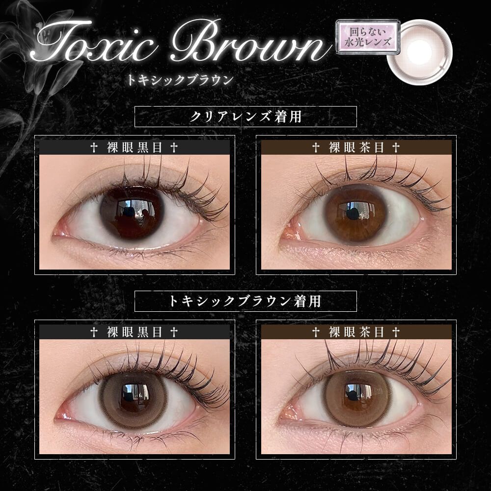 【預購】【固定高光】Lily Trap Toxic Brown 1 Day 十片裝