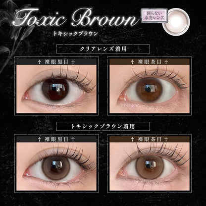 【預購】【固定高光】Lily Trap Toxic Brown 1 Day 十片裝