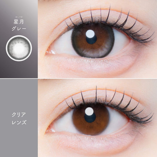 【預購】【固定高光】Kaica Hoshizuki Gray 1 Day 十片裝