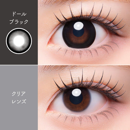 【預購】Meloria Doll Black 1 Day 十片裝