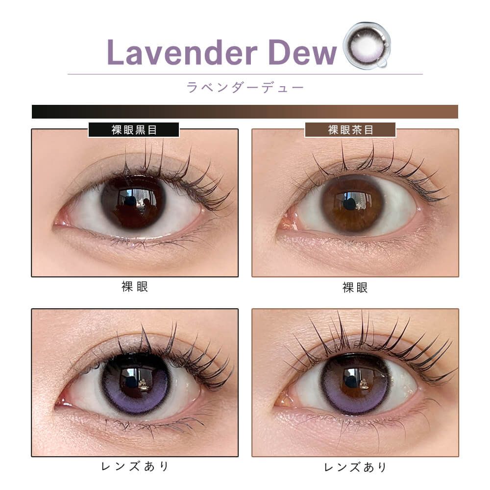 【預購】【固定高光】Dewlit Lavender Dew 1 Day 十片裝