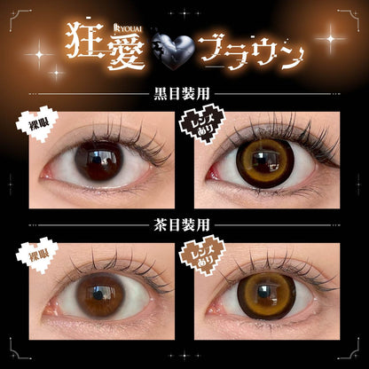 【預購】【固定高光】DUSTITY Ryouai Brown 1 Day 十片裝