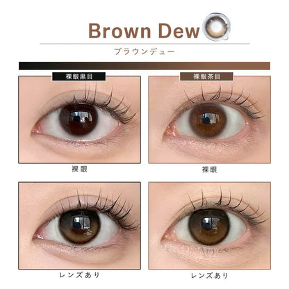 【預購】【固定高光】Dewlit Brown Dew 1 Day 十片裝