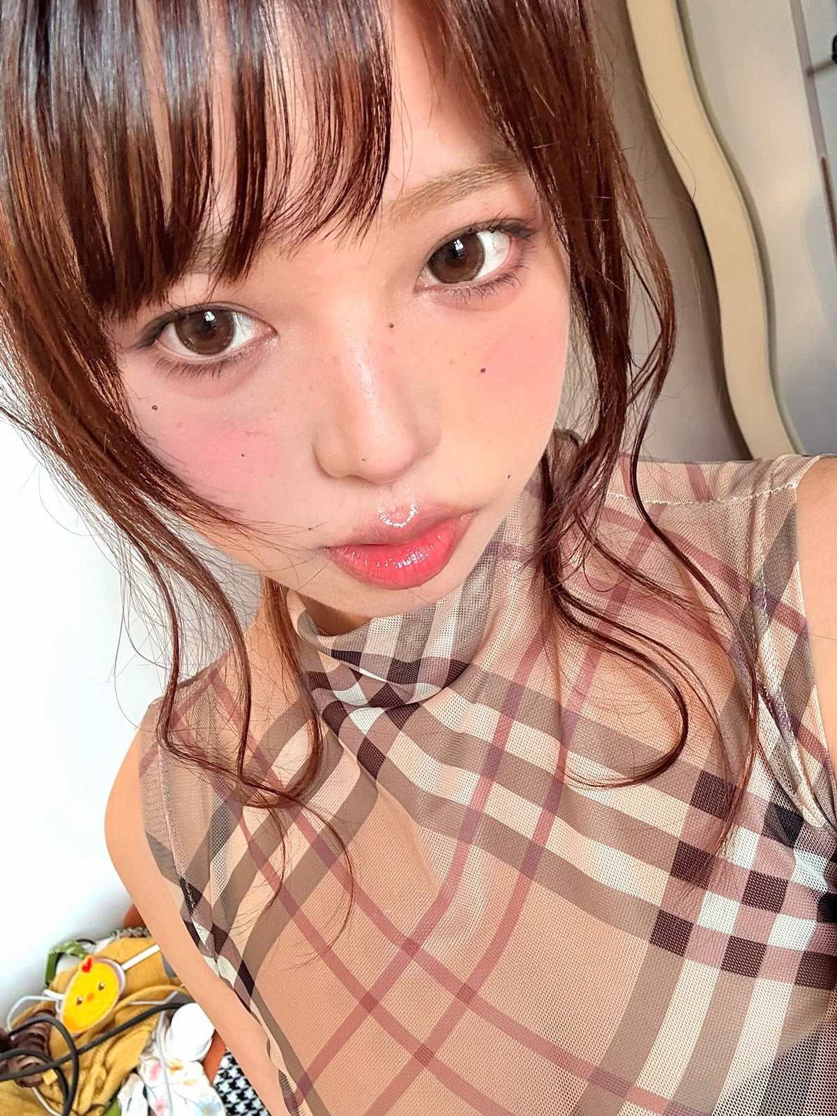 FullyGift Sorbet Choco 養分熱島 6-Months 一片裝