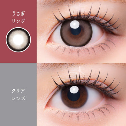 【預購】Meloria Usagi Ring 1 Day 十片裝
