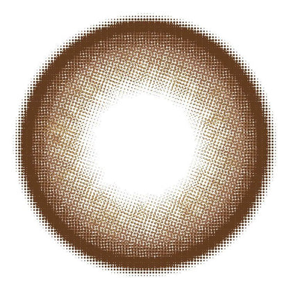 【預購】Primore Pri Pearl Brown 1 Day 十片裝