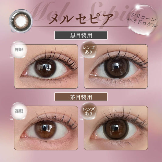 【預購】Honey Drops Silicone Hydrogel Mel Sepia 1 Day 十片裝